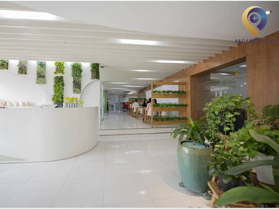 Premier Office